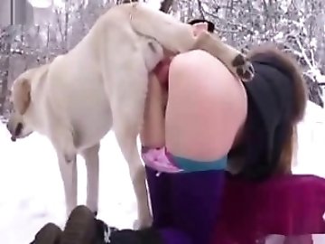 Perfect Animal Porn